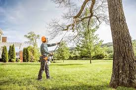 Best Lawn Watering Services  in Monticello, KY