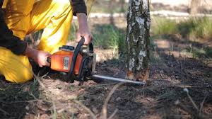 Best Lawn Grading and Leveling  in Monticello, KY