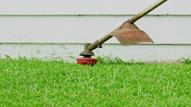 Best Tree Maintenance Programs  in Monticello, KY