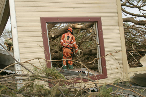 Best Seasonal Cleanup (Spring/Fall)  in Monticello, KY